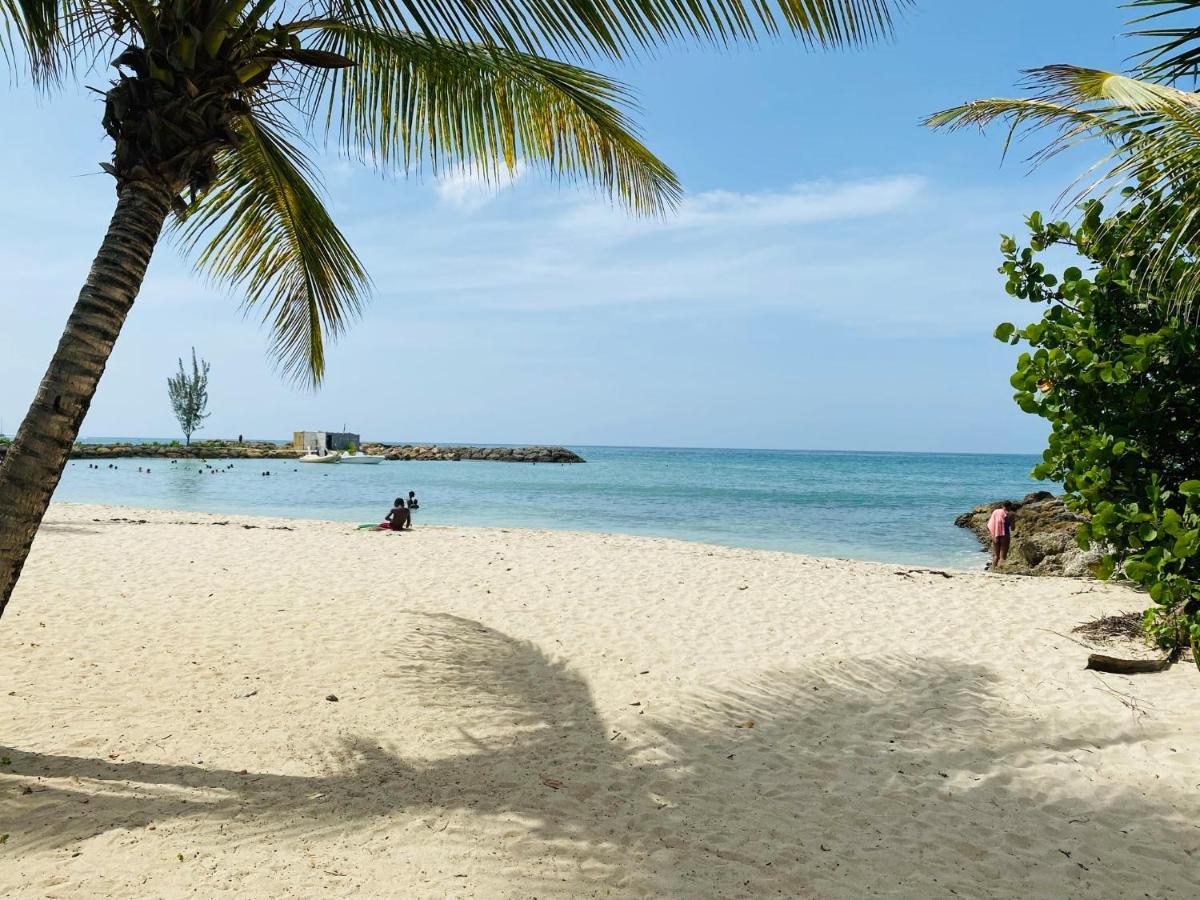 Vanille, A Proximite Des Plages, Idealement Situe Pour Visiter La Guadeloupe Le Gosier  Kültér fotó